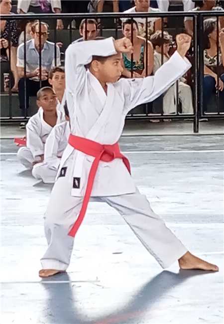 8ª Copa Josué Rocha de Karate 